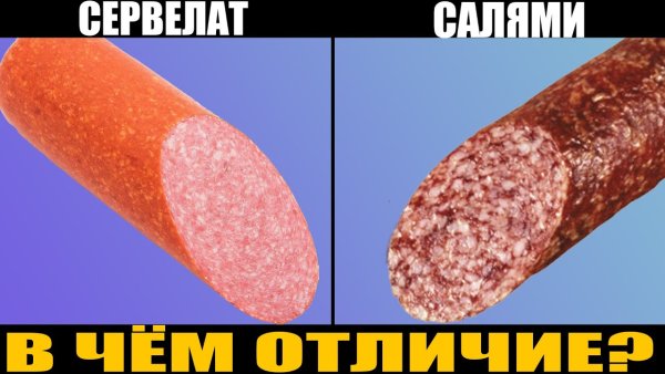 Разница между салями и сервелат
