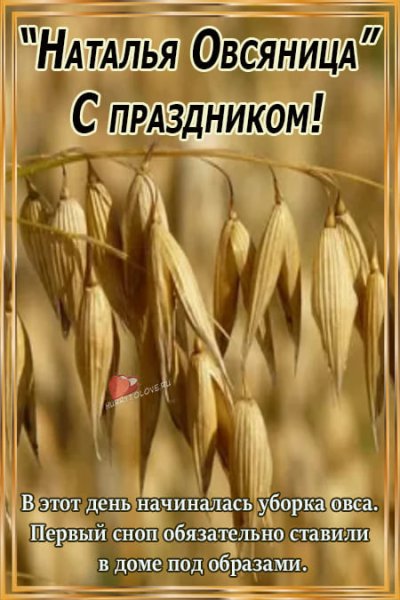 Наталья овсяница праздник