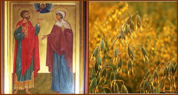 Адриан осенний Наталья овсяница