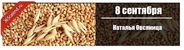 Наталья овсяница (Адриан Толоконник)