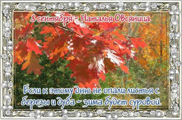 Наталья овсяница народный праздник 8 сентября
