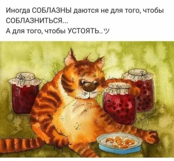 Рыжий кот и пирожок