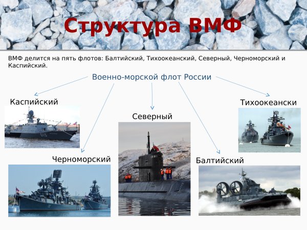 Структура состав военно-морской флот России