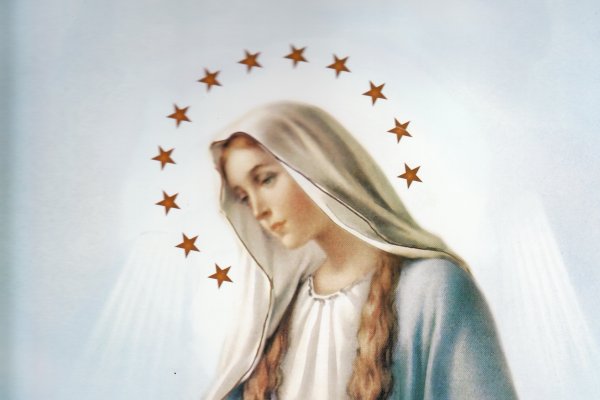 Пресвятая Дева Мария Непорочное зачатия