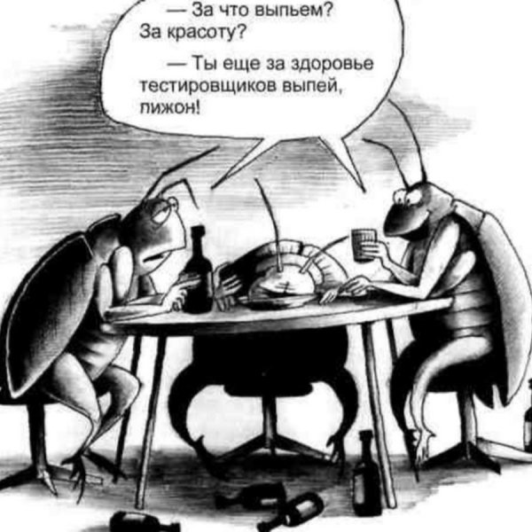 Тестировщик прикол