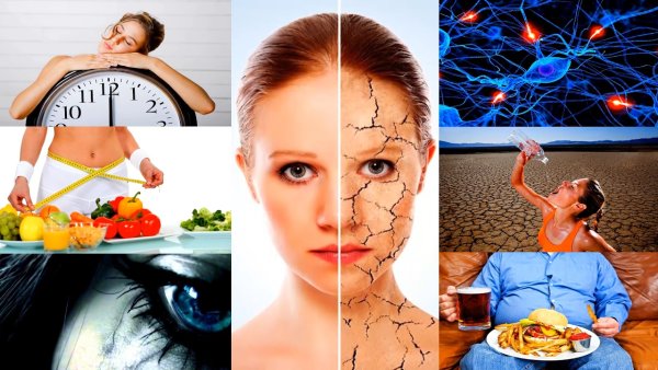 Человеческие привычки плохие