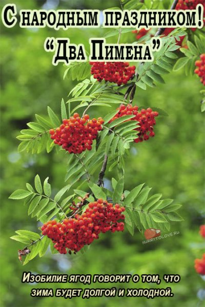 9 Сентября два Пимена рябинник