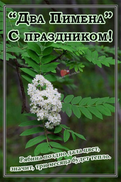 Два Пимена 9 сентября