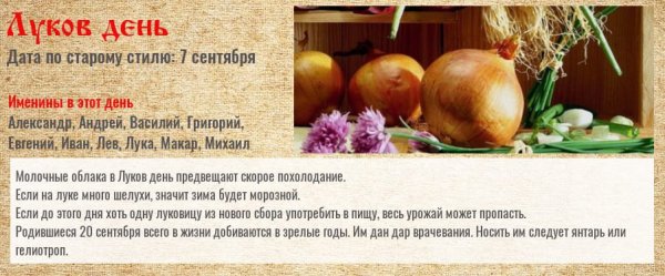 Луков день 20 сентября
