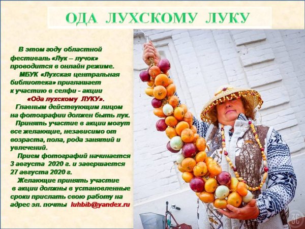 Лук лучок одежда