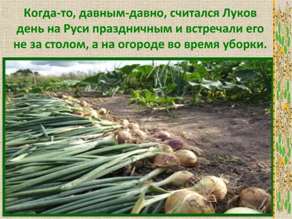 Приметы на луков день