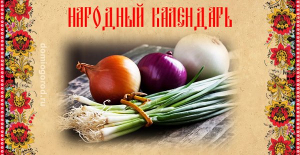 Открытка 31 октября луков день