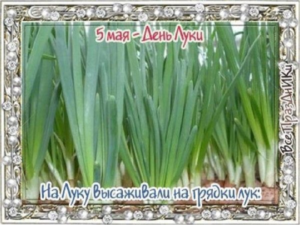 5 Мая народный календарь