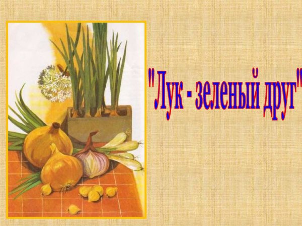 Лук зеленый друг