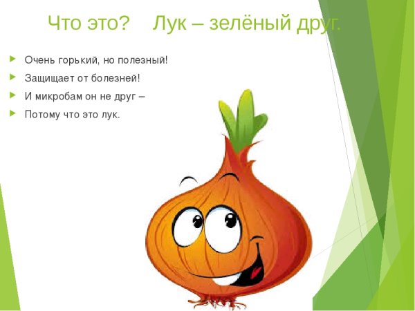 Проект зеленый лук