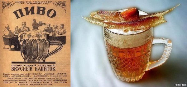 Приколы про разливное пиво