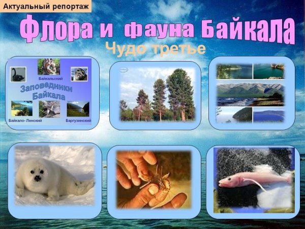 Байкал для детей