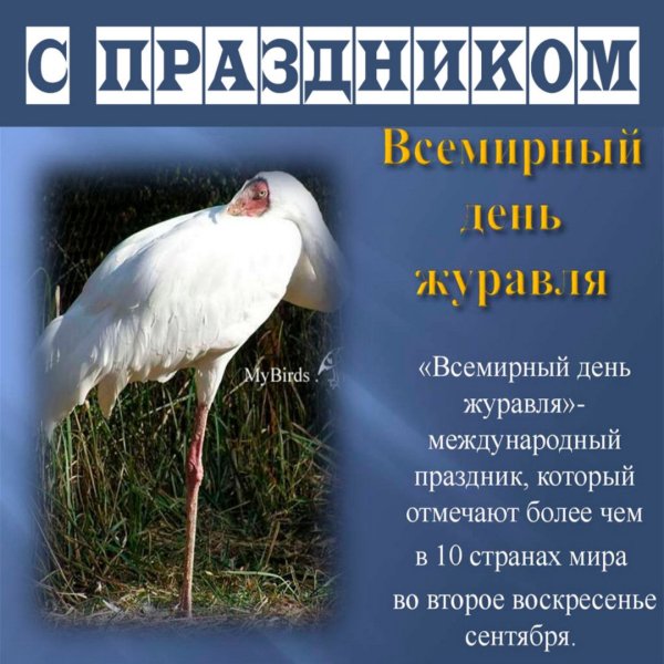 Открытки Всемирный день журавля