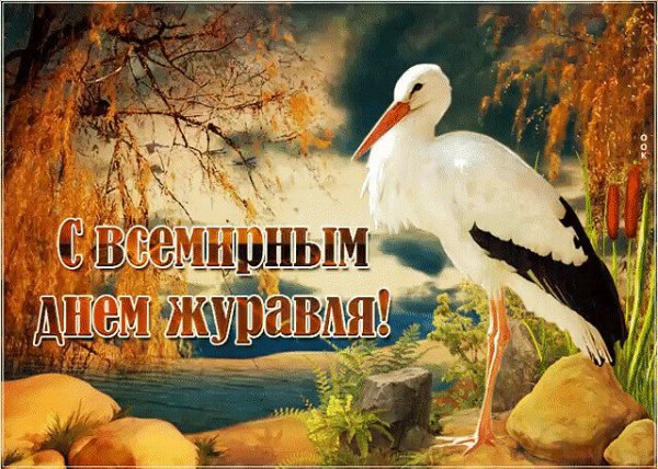 Праздник день журавля