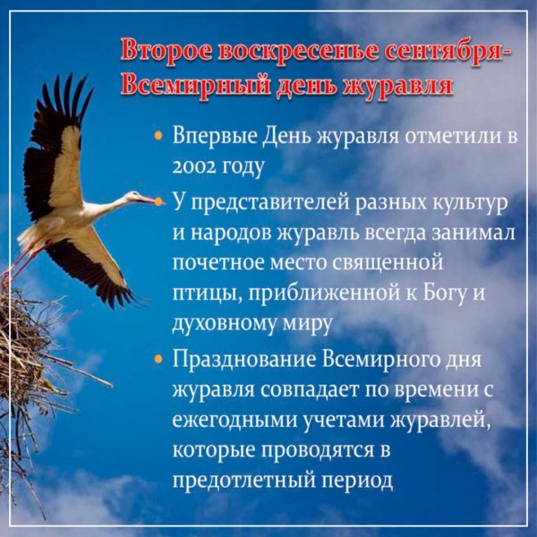 Всемирный день журавля