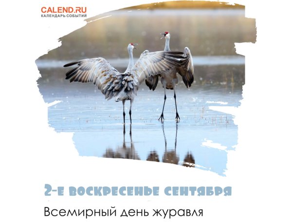 День журавля