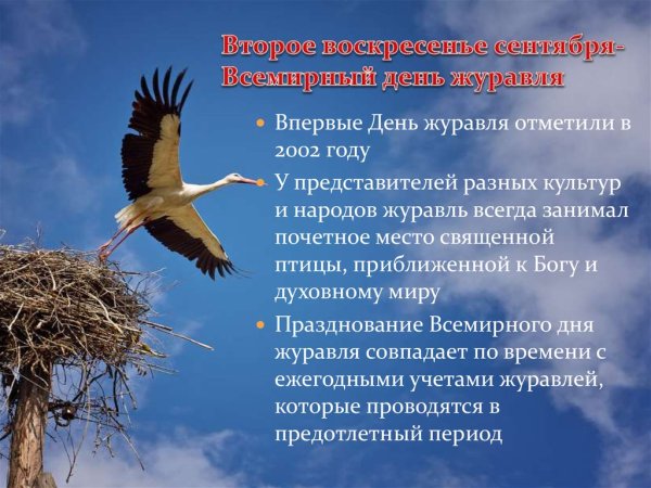 День журавля