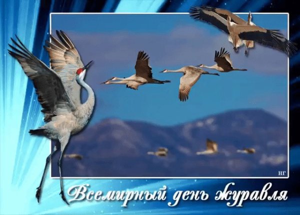 Международный день журавля