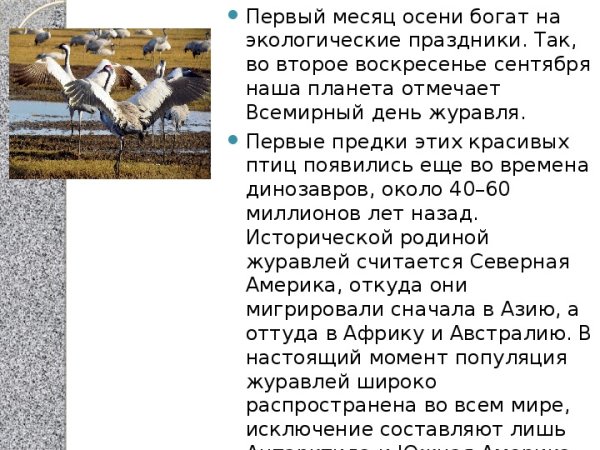 Всемирный день журавля 13 сентября