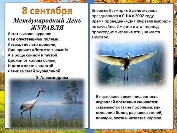 Международный день журавля