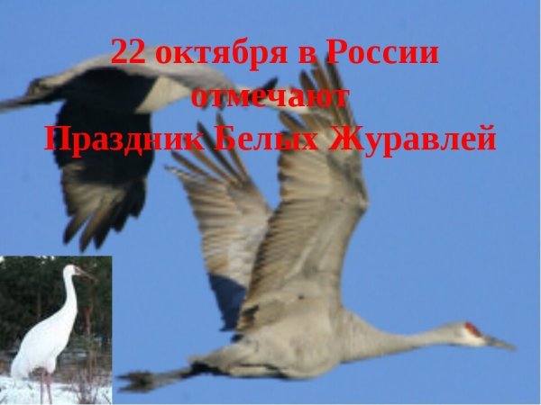 22 Октября праздник