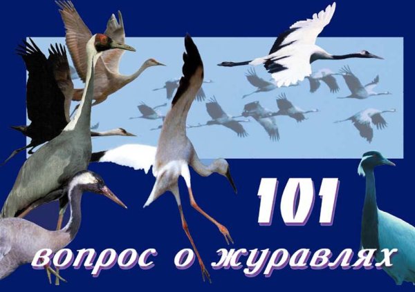 Международный день журавля