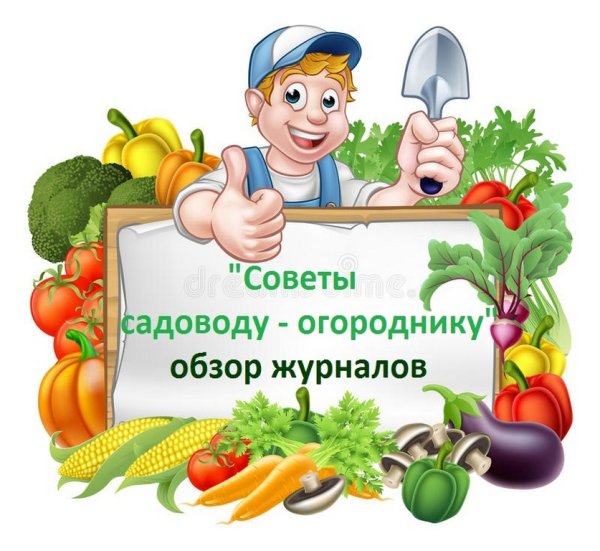 Рамки огорода с овощами для детей