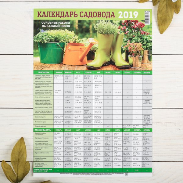 Календарь матковода