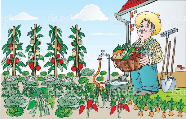 Картина Овощевод для детей
