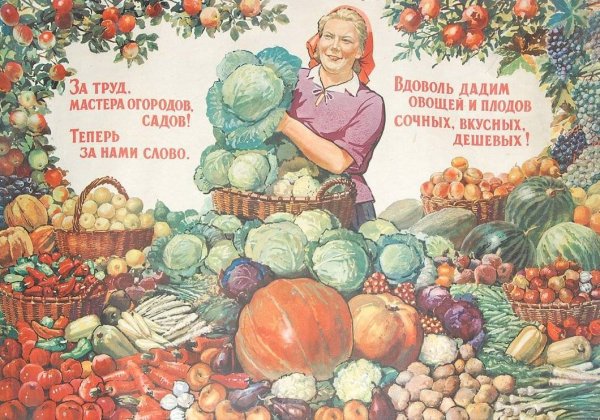 Плакат урожай