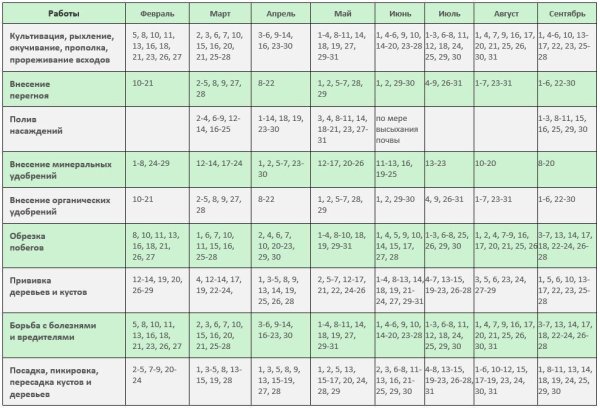 Лунный календарь дачника на 2022 год по месяцам