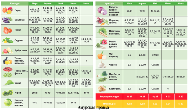 График посадки растений