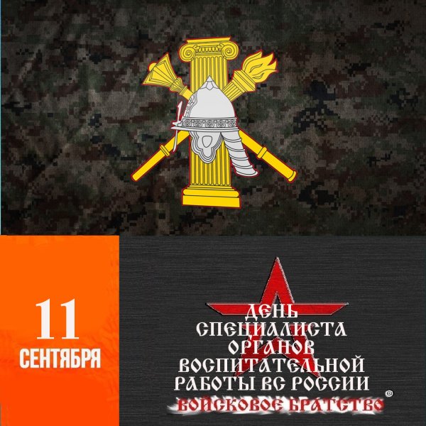 День специалиста органов воспитательной работы Вооруженных сил