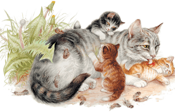 Всемирный день кошек 8 августа