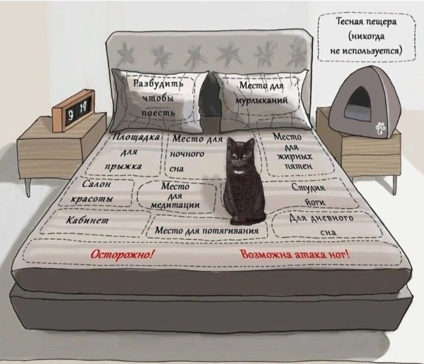 Карта кровати по версии кота