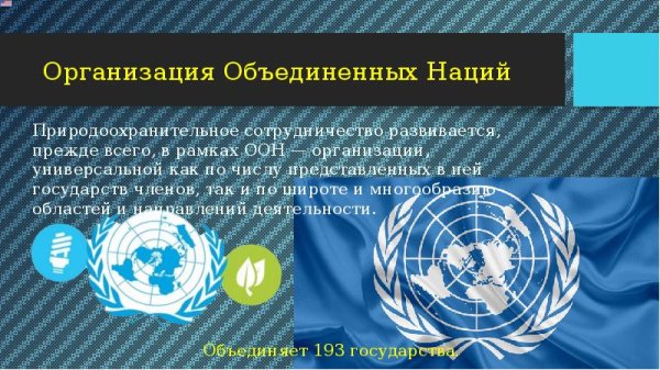 Организации в рамках ООН