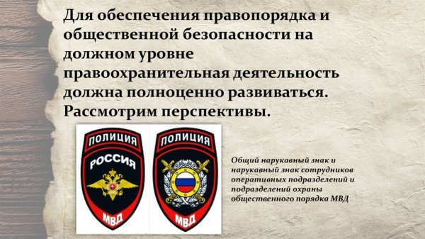 Органы общественного порядка и безопасности