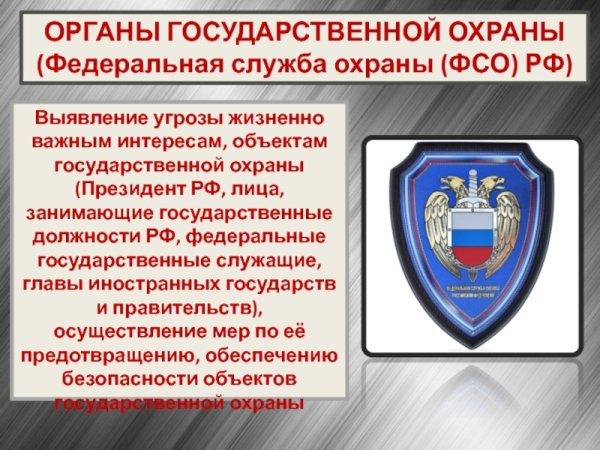 Органы государственной охраны (Федеральная служба охраны (ФСО) РФ)