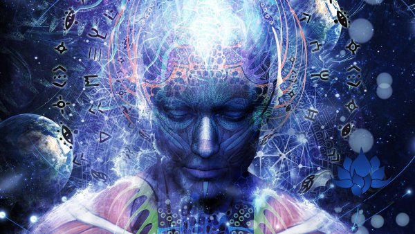 Информационное поле Вселенной