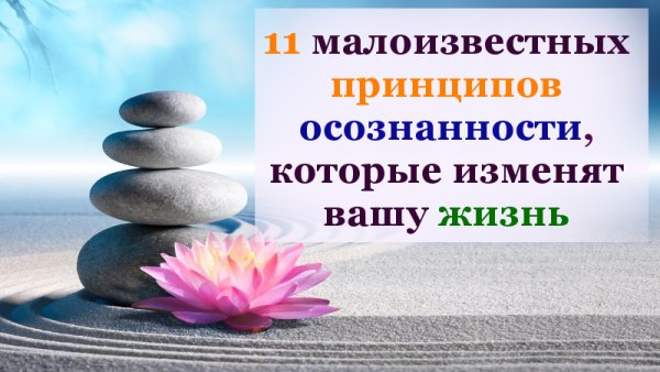 Принцип осознанности жизни