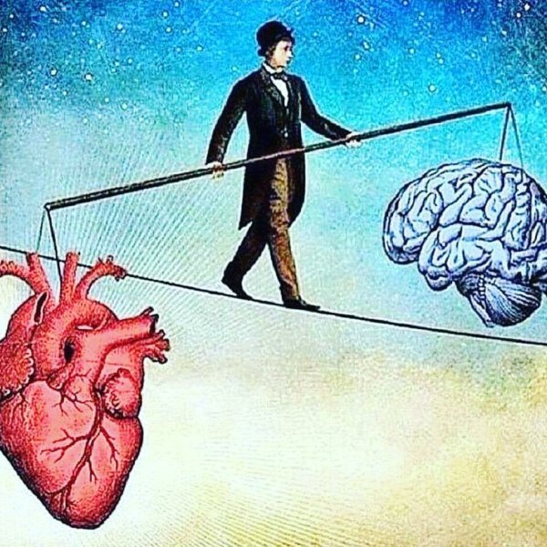 Ум и сердце