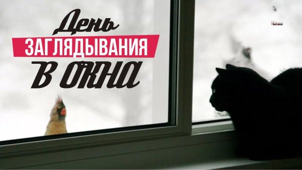 День заглядывания в окна