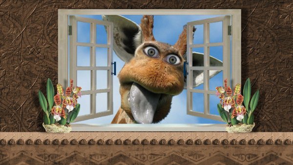 Животные на окна