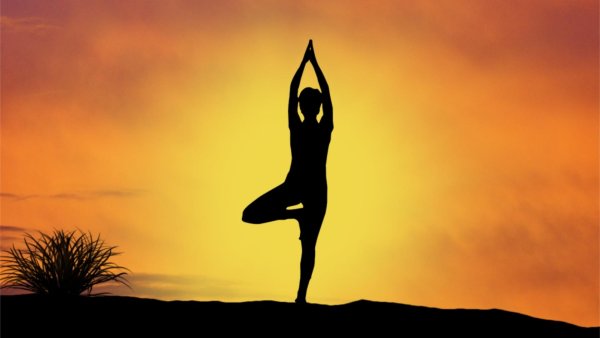 Jogi 2022 Постер