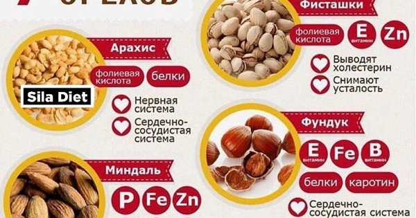 Полезные орехи для организма